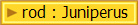 rod : Juniperus